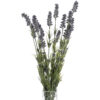 Large Lavender Bush - Image 5