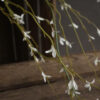 White Willow Spray - Image 3