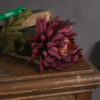 Autumn Spider Chrysanthemum - Image 3