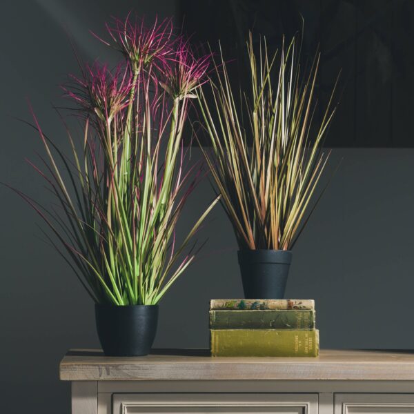Water Bamboo Grass 24 Inch - Image 3