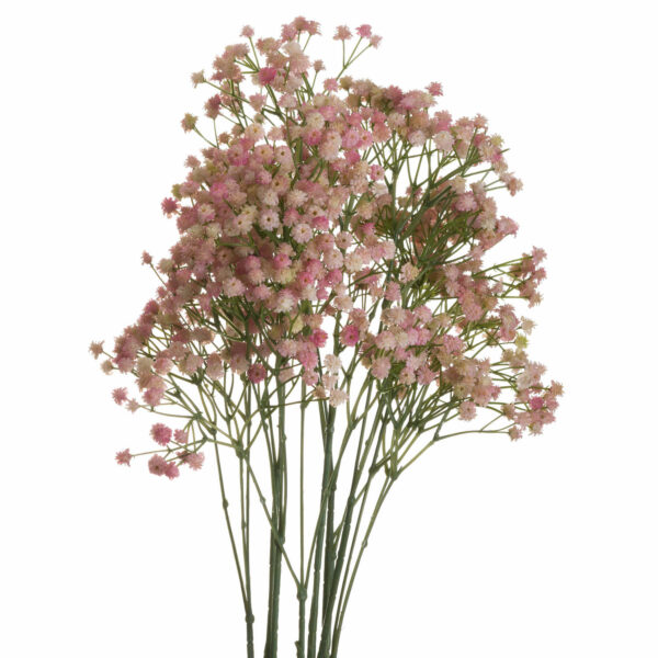 Pink Babys Breath Gypsophilia - Image 3