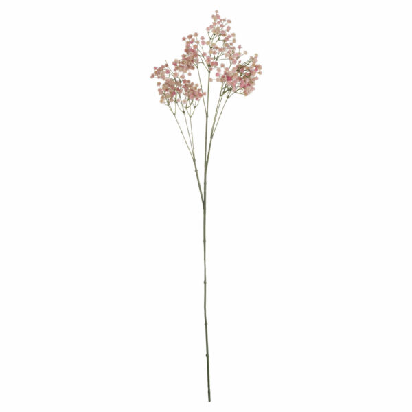 Pink Babys Breath Gypsophilia - Image 4
