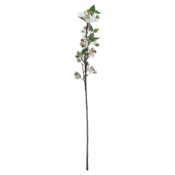 English Blossom Branch - Image 4