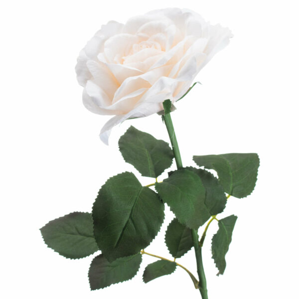 Large White Garden Rose - Image 3