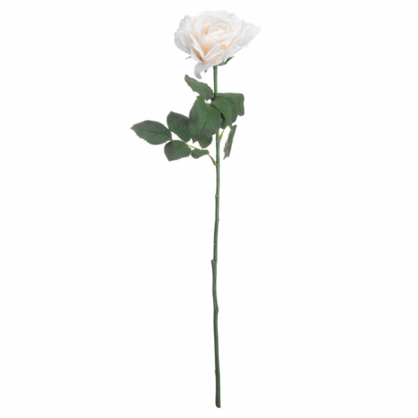 Large White Garden Rose - Image 4