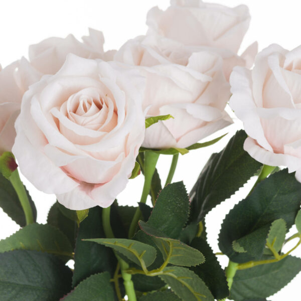 Pastel Pink Tea Rose - Image 2