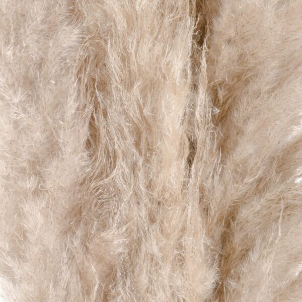 Cream Pampas grass - Image 3