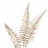 Gold Fern Spray - Image 3