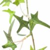 Small Ivy Garland - Image 3