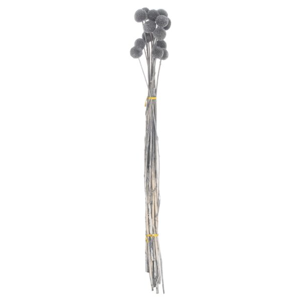 Dried Grey Billy Ball Bunch Of 20 - Image 2