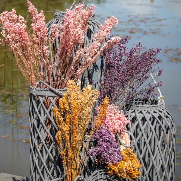 Dried Orange Babys Breath Bunch - Image 5