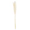 Cream Pampas Grass Stem - Image 2
