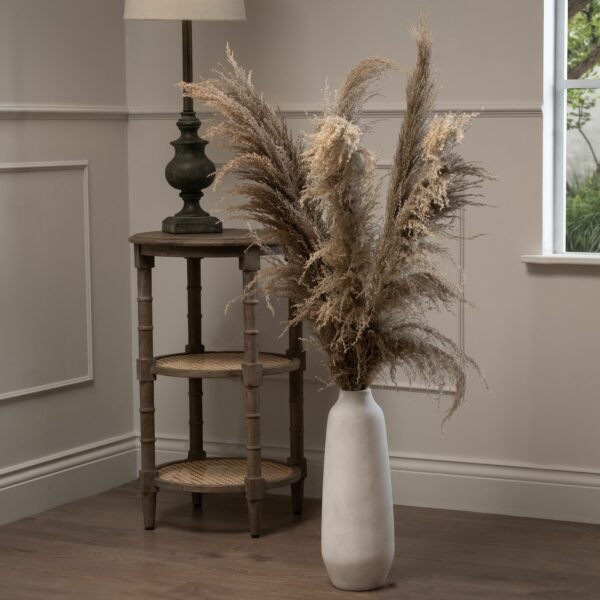 Natural Pampas Grass Stem - Image 4