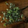 Green Shoots Greenery Bunch - Image 2