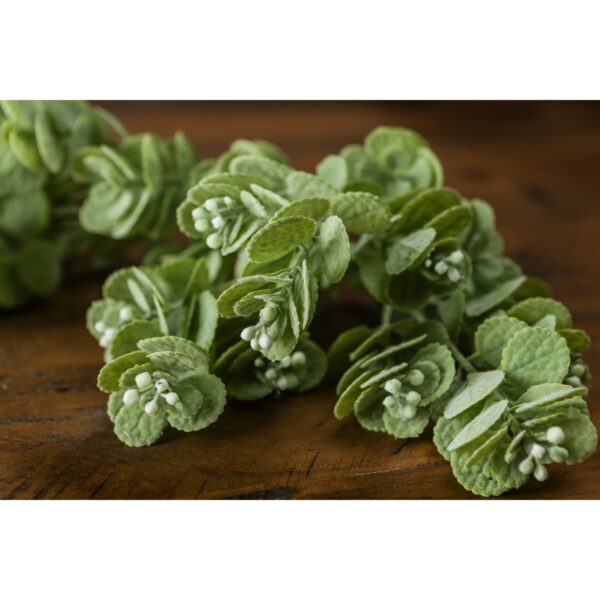 Spring Herb Greenery Bunch - Image 3