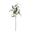 Seeded Eucalyptus Spray