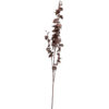 Deep Purple Dancing Orchid Stem - Image 3
