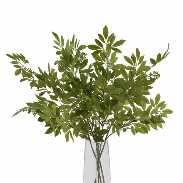Long Fennel Stem - Image 5