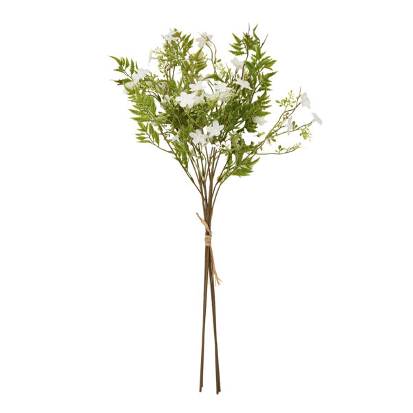 Italian White Bellflower - Image 2