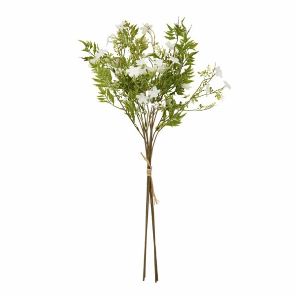 Italian White Bellflower - Image 4