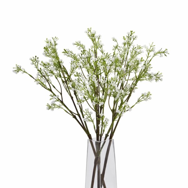 Lily Of The Valley - Image 5