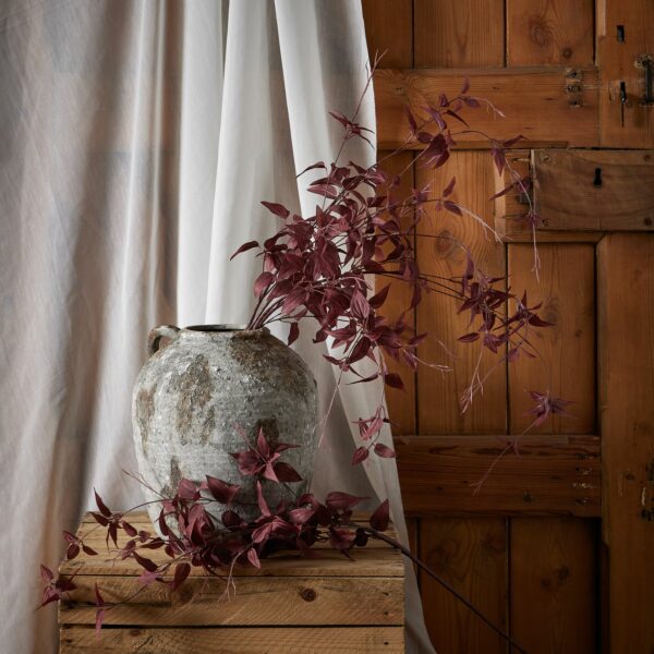 Ornamental Burgundy Leaf - Image 3