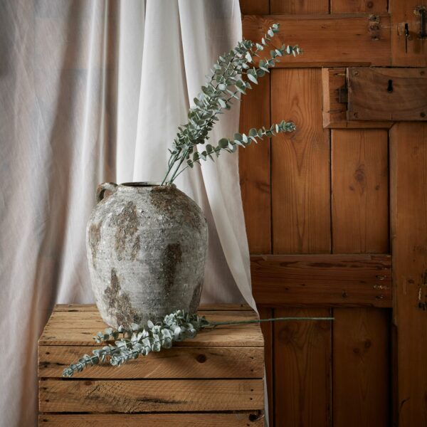 Gunnii Blue Eucalyptus Spray - Image 3