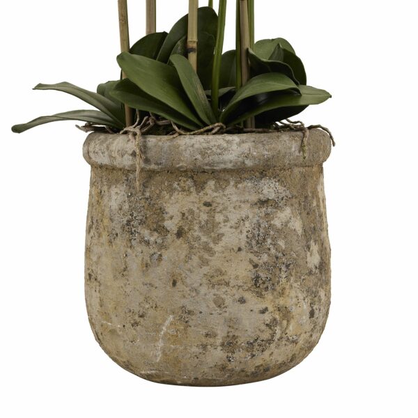 Large White Orchid In Antique Stone Pot - Image 3