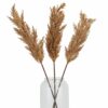 Taupe Faux Dried Pampas Grass Stem - Image 4