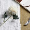 White Chrysanthemum Stem - Image 2