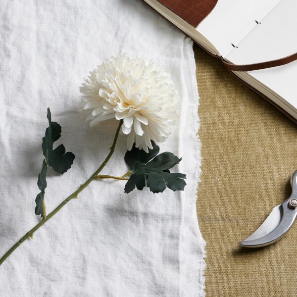 White Chrysanthemum Stem - Image 2