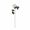 White Chrysanthemum Stem - Image 3