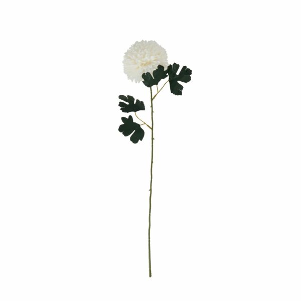White Chrysanthemum Stem - Image 3