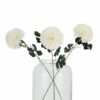 White Chrysanthemum Stem - Image 4