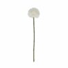 White Chrysanthemum - Image 3