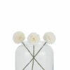 White Chrysanthemum - Image 4