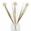 Cream Aster Spider Chrysanthemum Stem - Image 5