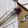 Burgundy Aster Spider Chrysanthemum Stem - Image 2