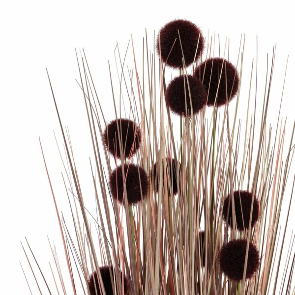 Large Burgundy Pompom Alliums In Black Pot - Image 2
