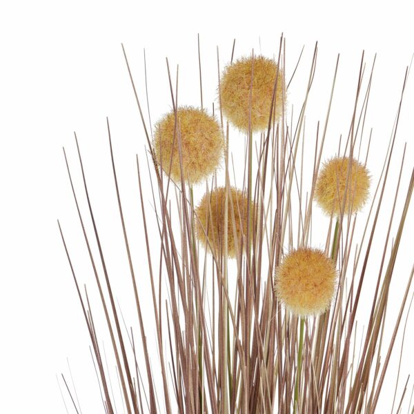Coffee Pompom Alliums In Black Pot - Image 2