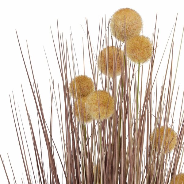 Large Coffee Pompom Alliums In Black Pot - Image 2