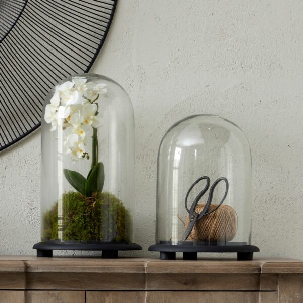 Tall Black Dome Cloche - Image 4