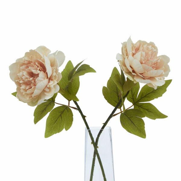 The Natural Garden Collection Blush Peony - Image 3