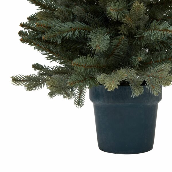 Medium Fir Tree In Pot - Image 3