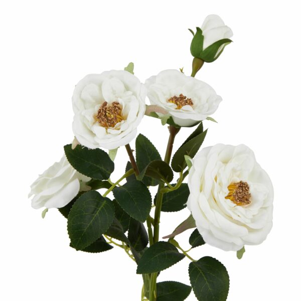 The Natural Garden Collection Pink Charity Rose - Image 2