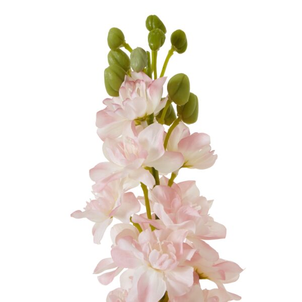 The Natural Garden Collection Pink Elatum Delphinium - Image 2