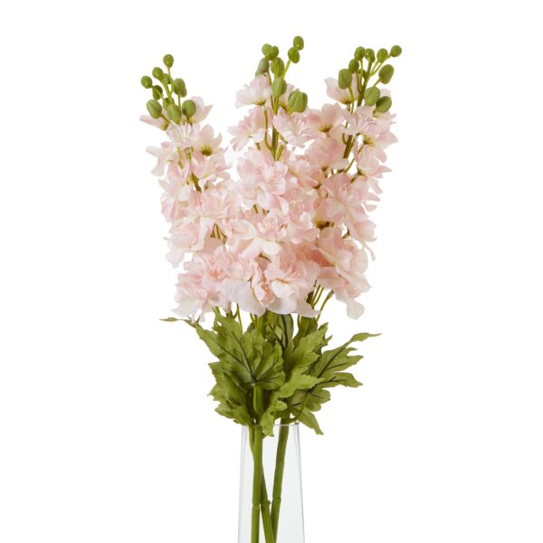 The Natural Garden Collection Pink Elatum Delphinium - Image 3