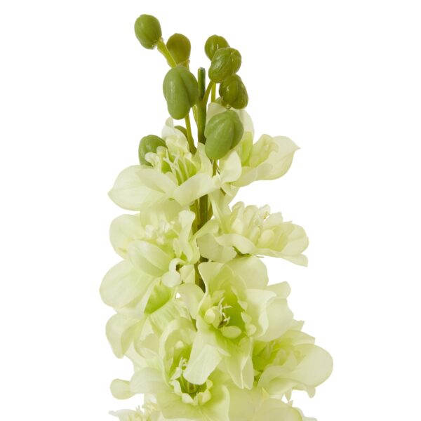 The Natural Garden Collection White Elatum Delphinium - Image 2
