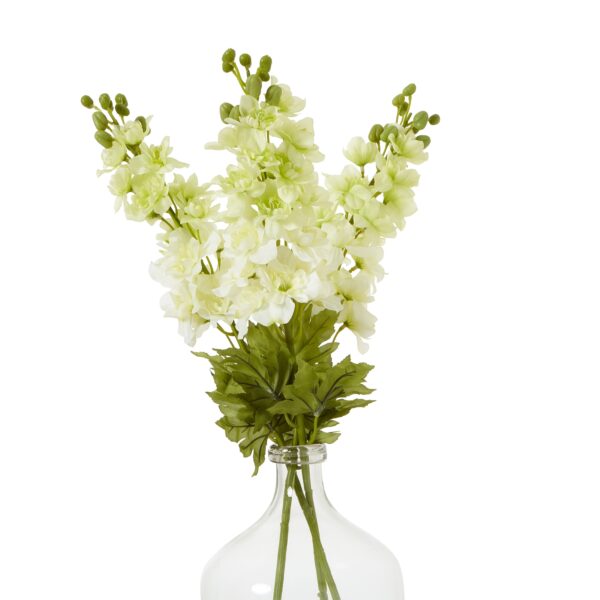 The Natural Garden Collection White Elatum Delphinium - Image 3