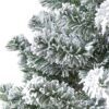 Snowy Pine Tree - Image 2